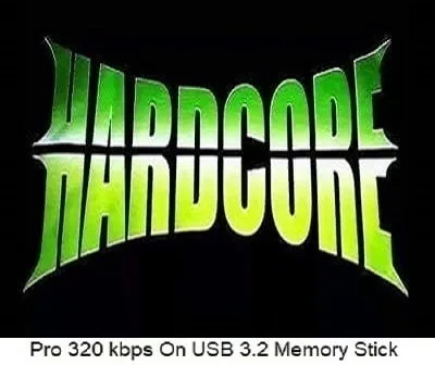 Hardcore Music 2013 - 2017 DJ Friendly (On USB)